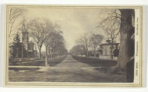 Hillhouse Avenue af Peck Brothers
