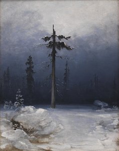 Træ i en vinterskov