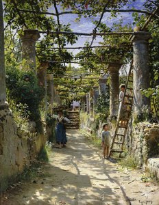 I skyggen af en italiensk pergola, en varm eftermiddag i Anacapri