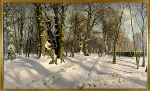 Snedækket vinterskov i sollys