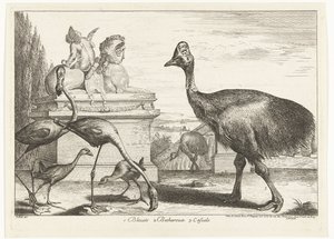 Kasuarer, lilla hønsehøne og flamingoer 1. Bleuets 2 Becharoux 3. Casuels (titel på objekt) Fugle fra menageriet i Versailles (serietitel)