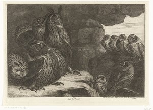 Ugler i en hule des Ducs (titel på objekt) Fugle fra menageriet i Versailles (serietitel)