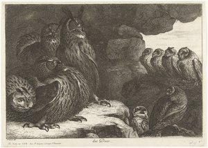 Ugler i en hule des Ducs (titel på objekt) Fugle fra menageriet i Versailles (serietitel)