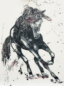Betydning, 2016 af Penny Warden