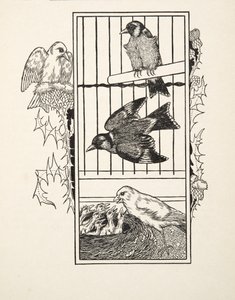 A Charitable Canary, fra A Hundred Anecdotes of Animals, pub. 1924 af Percy J. Billingshurst