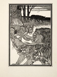 A Grateful Lioness, fra A Hundred Anecdotes of Animals, pub. 1924 (gravering) af Percy J. Billingshurst