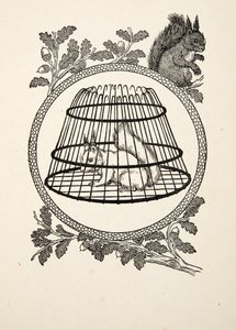 A Refugee Squirrel, fra A Hundred Anecdotes of Animals, pub. 1924 af Percy J. Billingshurst
