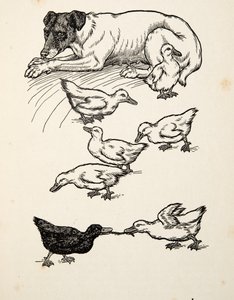 A Singular Foster-Mother, fra A Hundred Anecdotes of Animals, udgivet af A Hundred Anecdotes of Animals, pub. 1924 af Percy J. Billingshurst