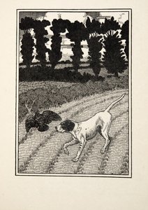 Deceiving the Fowler, fra A Hundred Anecdotes of Animals, pub. 1924 af Percy J. Billingshurst