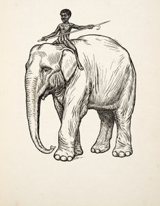 Remorse, fra A Hundred Anecdotes of Animals, pub. 1924 af Percy J. Billingshurst