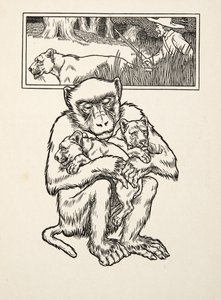Soliciting Succour, fra A Hundred Anecdotes of Animals, pub. 1924 (gravering) af Percy J. Billingshurst