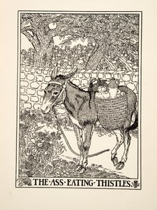 The Ass eating Thistles, fra A Hundred Fables of Aesop, pub.1903 af Percy J. Billingshurst