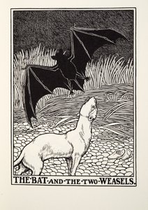 Flagermusen og de to væsler, fra Fontaine Fables, pub. 1905 af Percy J. Billingshurst