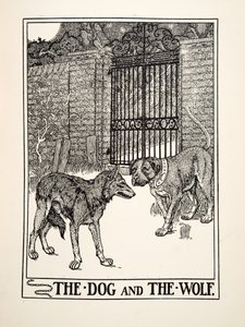 The Dog and the Wolf, fra A Hundred Fables of Aesop, pub.1903 (gravering) af Percy J. Billingshurst