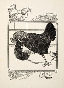 The Heroism of a Hen, fra A Hundred Anecdotes of Animals, pub. 1924 af Percy J. Billingshurst