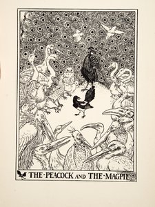 The Peacock and the Magpie, fra A Hundred Fables of Aesop, pub.1903 (gravering) af Percy J. Billingshurst
