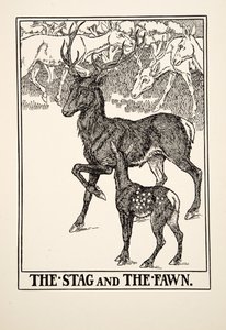 Hjorten og ungen, fra Æsops hundrede fabler, udg. 1903