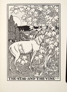 The Stag and the Vine, fra Fontaine Fables, pub. 1905