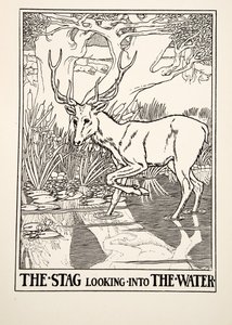 The Stag looking into the Water, fra A Hundred Fables of Aesop, pub.1903 (gravering) af Percy J. Billingshurst