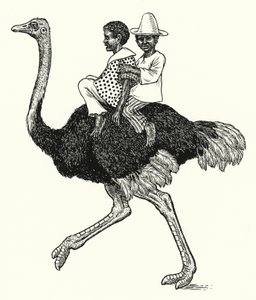 Strudsridning (litho)