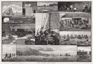Fiskeriindustrier, østersudgravning (gravering) af Percy Robert Craft