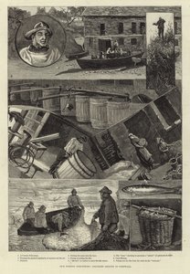 Vores fiskeindustri: Pilchard Seining i Cornwall