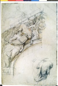  af Perino del (1501-47) Vaga