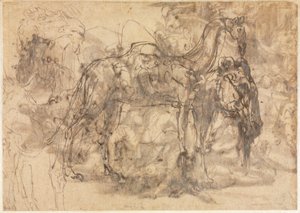 Skitser af dyr verso, ca. 154547. af Perino del Vaga