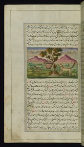 En ræv og en tromme fra Lights of Canopus af Persian School