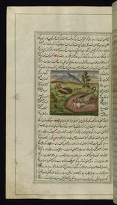 En sjakal fortærer en hare fra Lights of Canopus, 1847 af Persian School