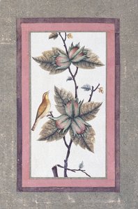 Fugle- og blomsterstudie, c.1780