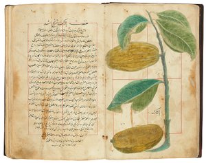 Hassan Bin Baqir Bin Jarrah: Ghalzar Al-Raihain, Qajar Iran af Persian School