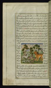 Løve og andre dyr fra Lights of Canopus af Persian School