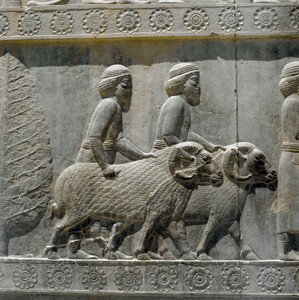 Sogdians bringer gaver til Darius I. Relieffer af den østlige trappe af Apadana, 6. århundrede f.Kr af Persian School