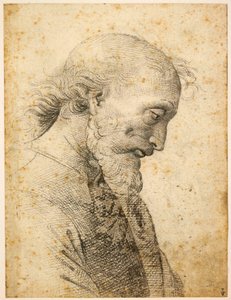 Buste af en mand, 1500-1503.