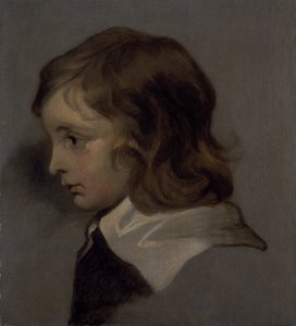 Hoved af en ung dreng (olie på lærred) af Peter (follower of) Lely