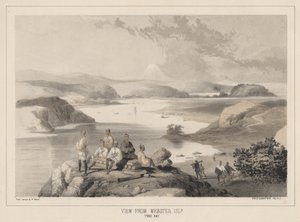 Udsigt fra Webster Island, Yedo Bay, litho af Sarony und Co., 1855 (chromolitho)