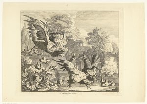hanekamp Forskellige fugle (serietitel)