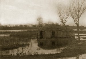 Et hjem i en rørskib, liv og landskab på Norfolk Broads, ca. 1886