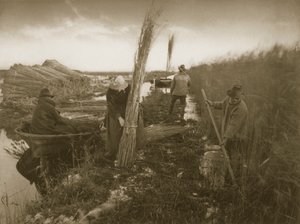 Under Reed Harvest, Life and Landscape on the Norfolk Broads, c.1886