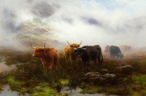 Moorland og Mist