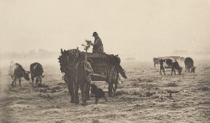 En frostklar morgen af Peter Henry Emerson