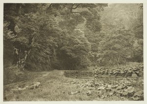 En stille krog i Beresford Dale af Peter Henry Emerson