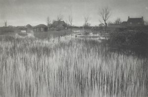 En ruskete kyst af Peter Henry Emerson