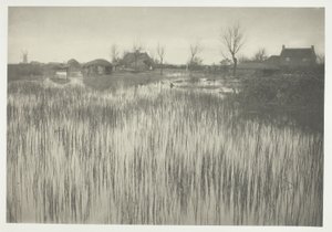 En ruskete kyst af Peter Henry Emerson