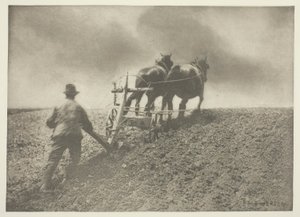 A Stiff Pull, (Suffolk) af Peter Henry Emerson
