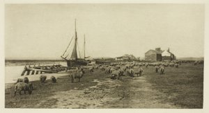 Blackshore, River Blythe (Suffolk) af Peter Henry Emerson