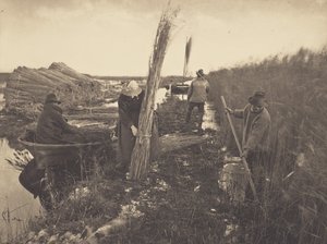  af Peter Henry Emerson