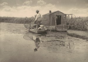  af Peter Henry Emerson