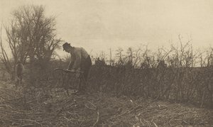 Hegn i Suffolk af Peter Henry Emerson